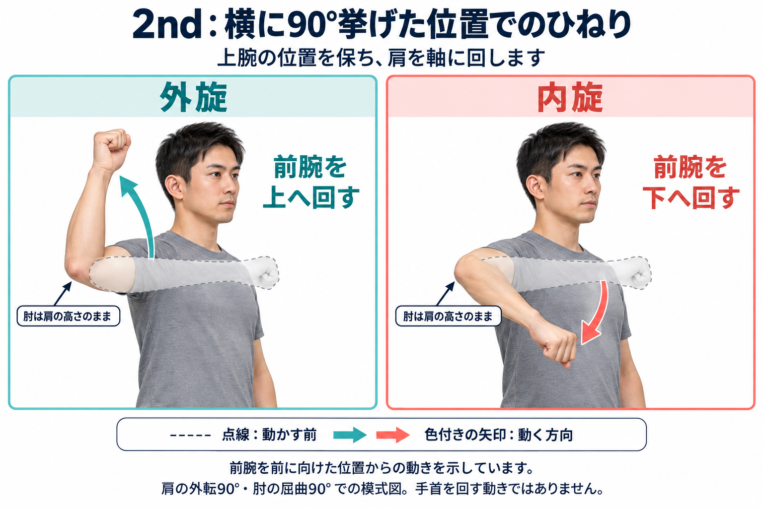 前腕を前に向けた位置から、外旋では上へ、内旋では下へ回します。肘は肩の高さに保ちます。