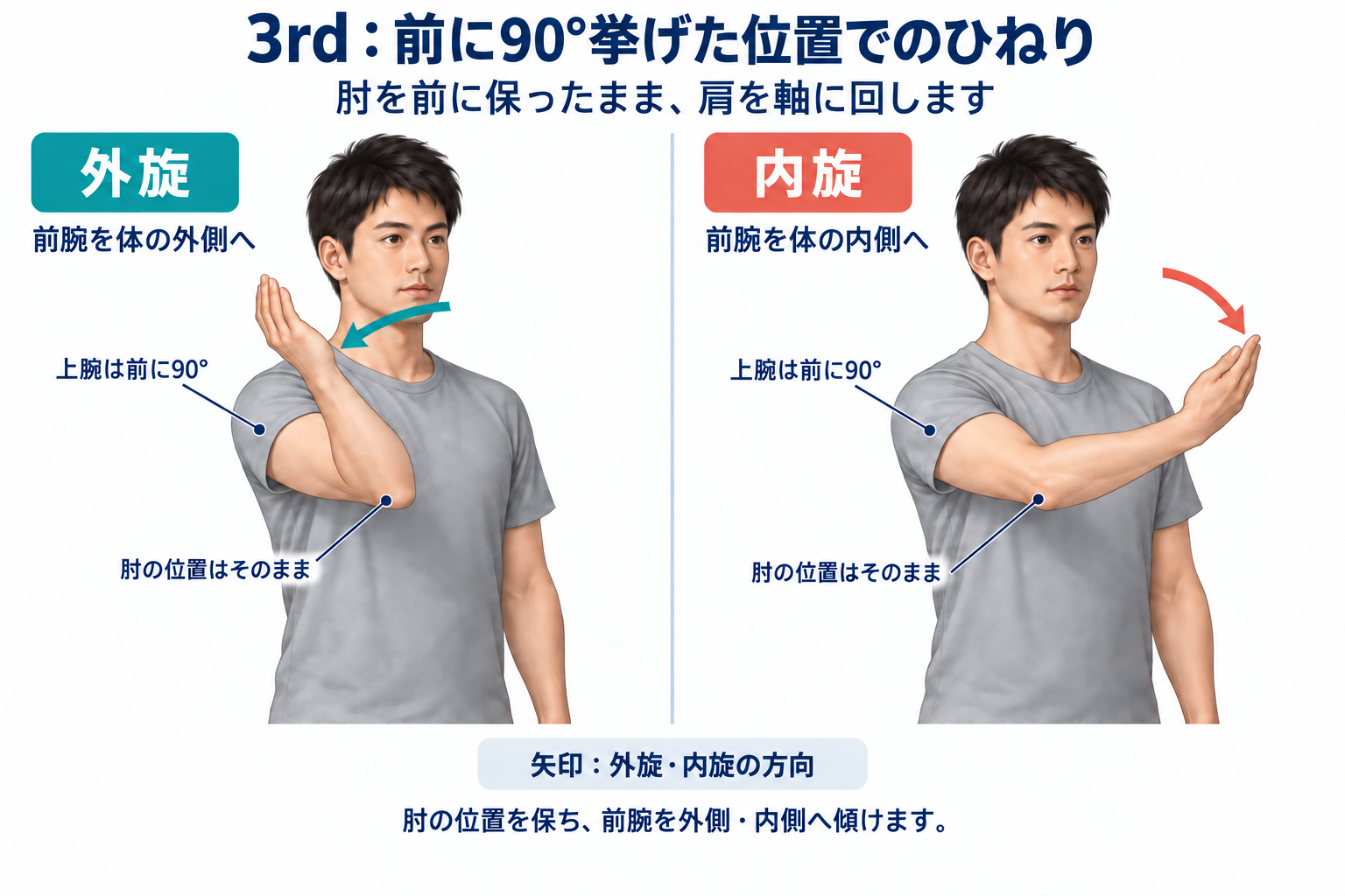 前腕を上に向けた位置から、外旋では体の外側へ、内旋では内側へ傾けます。肘は体の前に保ちます。