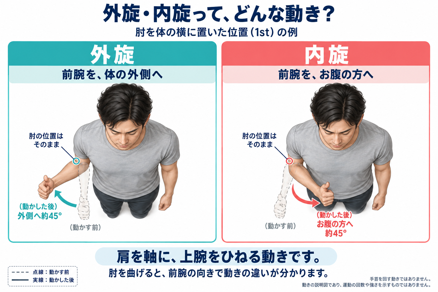 右肩の外旋と内旋を上から見た模式図。肘を体の横に保ち、外旋では前腕を外側へ、内旋ではお腹の方へ動かす。点線は動く前の位置、矢印は動く方向。